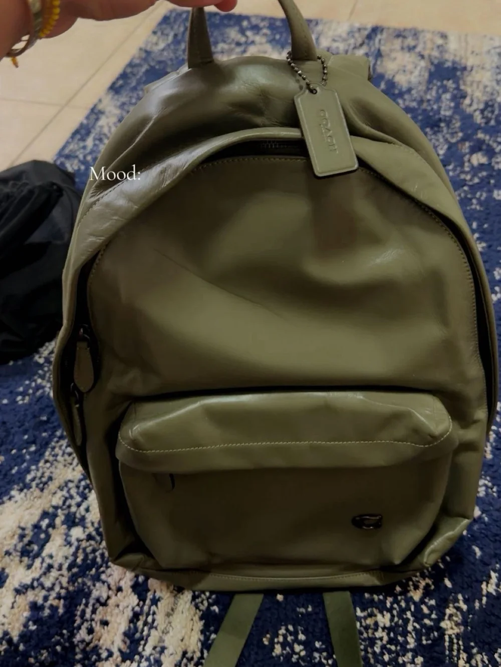 Coach Olive Leather Backpack in Military Green